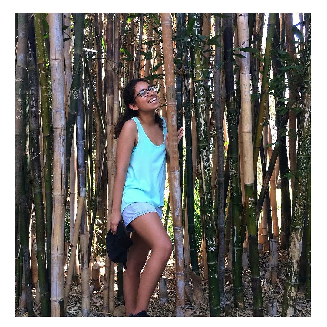 Grislean Palacios, Gemlesschosen.com